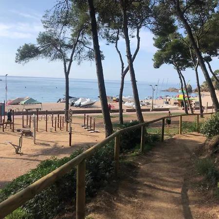 New & Center Lloret *